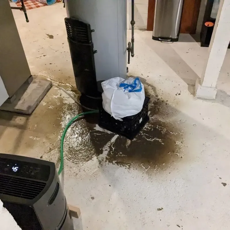Sewage Backup Cleanup Service in Condon, TN